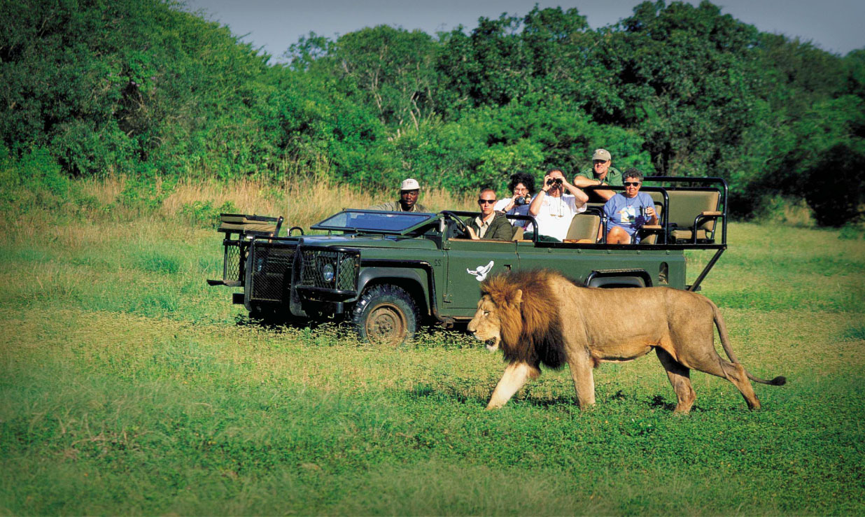 south africa packages